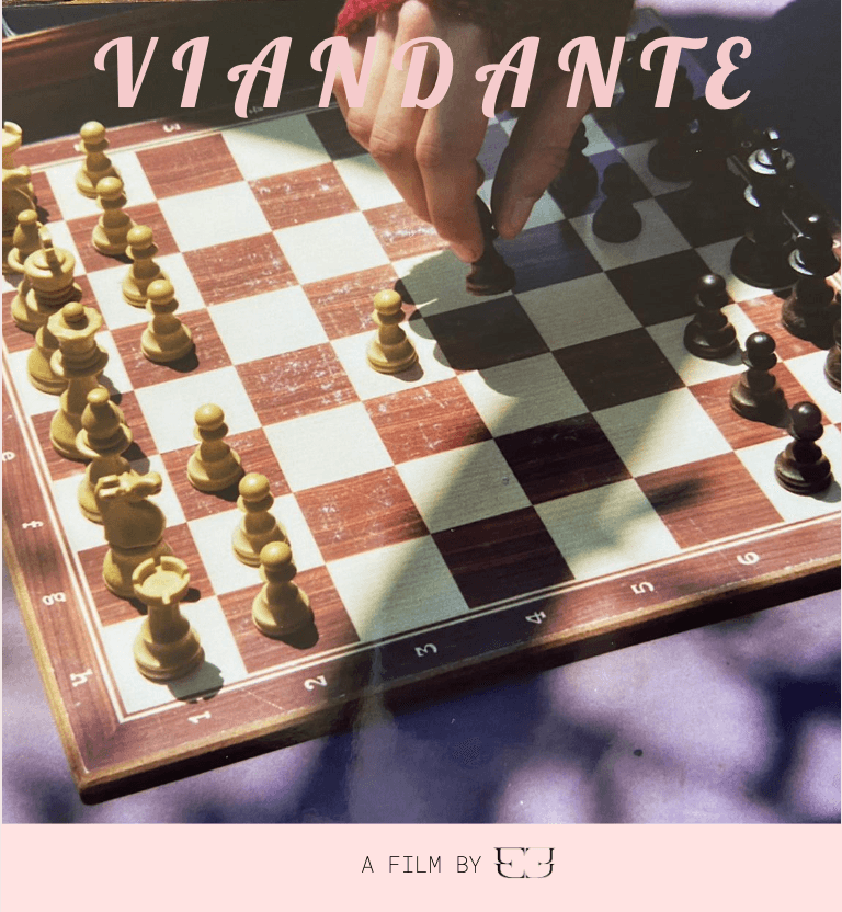 Progetto Tesi: Viandante landing image